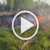 Под Коломенским в деревне Сычево загорелась трава, огонь...
