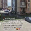 В Дагестане местные жители возмутились поведению детей, которые специально провоцировали уличных собак