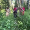 В Первоуральске нашли 84-летнюю пенсионерку, которая заблудилась в лесу