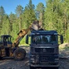 Три крупные свалки уберут в лесах края