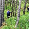 За сутки под Красноярском спасли двух заблудившихся в лесу женщин. Сначала...
