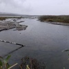 На очистку озера Здохня потратят почти 50 млн рублей