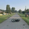Пьяный школьник на мотоцикле врезался в лошадь в Красноярском крае. 15-летний...