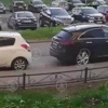 На улице Наличная на Васильевском острове ворона камнем разбила стекло...
