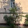 Из окна квартиры жилого дома в Дегтярном переулке выпал малолетний ребенок....