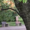 Голый человек за день был замечен в Санкт-Петербурге. Пользователи...