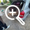 Собаку-маугли, которая провела три года в бункере в Дятьково, спасли волонтёры и МЧС