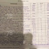 Петербуржцам выставили счёт на 65 тысяч рублей за домашний осмотр кошки