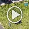 Мужчина занимался непотребствами у детской площадки в Красном Селе