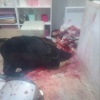 В Татарстане бывший парень зарезал 18-летнюю девушку в цветочном магазине и покончил с собой: возлюбленная не хотела восстанавливать отношения