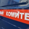 В Красноярске все же возбудили уголовное дело после массовой драки...