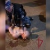 Голый лудоман устроил перформанс в букмекерской конторе в Москве. Мужчина...
