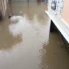 В СНТ «Сходненские садоводы» под Химками тоже затопило дороги и участки 🇷🇺...
