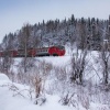 Туристский поезд Шерегеш-экспресс начнет курсировать с 22 ноября