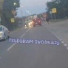 🐄И пусть весь мир подождет: в Приморье две невозмутимые бурёнки выбрались на...