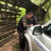 За неделю Назаровский рыбнадзор изъял 26 незаконных...