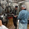 Идеальное путешествие для пивозавров найдено в Питере: экскурсия на пивоварню.