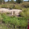 Сегодня, в Сураже возле Кашовского переезда, в сторону песков, случился ужасный инцидент.