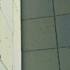 Тысячи божьих коровок заполонили Красноярск. Насекомые облепляют стены,...