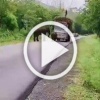 Слоны-бандиты не дают проехать грузовикам с сахарным...