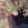 Связанная с 