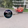 Ничего необычного, типичный вид транспорта в Хакасии 🇷🇺 Источник: ЧП Хакасия