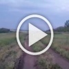 Кенгуру по дороге на рыбалку встретили мужики под Ростовом