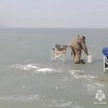🎣 30 рыбаков поймали на льду во время рейда в Приморье, двоих пришлось...