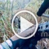 ВСУшная ДРГ снова попыталась зайти на территорию Белгородской области