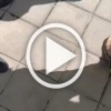 ❗️ Битва военкомов с жителями в Одессе за добычу 🇷🇺...