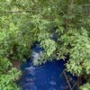 Река синьки удивила жителей рязанского Кального