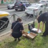 В Приморском районе случайный прохожий пострадал от ревнивца во время ссоры...