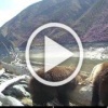 🐻Косолапый массаж в Саяно-Шушенском заповеднике