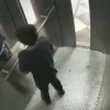 Ребёнок устроил туалет прямо в лифте — от потолка до пола, с энтузиазмом...