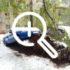 Около 200 автомобилей повреждены в результате вчерашней непогоды в Подмосковье, повалены 1,5 тыс. деревьев