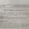 «Твоя свобода, су*а, заканчивается там, где начинается другая, б**дь» — в Питере одна собачница преподала урок обществознания другой на кулаках