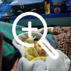 В Приозерске фельдшеру скорой помощи пришлось принимать роды прямо в машине.