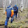 Около 130 человек ежегодно пропадают в лесах Красноярского края Ежегодно в...