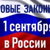 С 1 сентября вступает в силу ряд новых законов. Вот основные изменения: