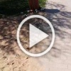 Набережная медленно превращается в свалку , мусор по всей...