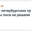 Лось может принять грибника за невесту В Ленобласти у лосей продолжается...