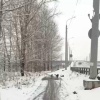 Бродячие собаки напали на восьмилетнюю девочку в районе жилого комплекса...