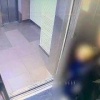 Кадры нападения на девятилетнюю девочку в Петербурге