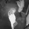 Две львицы разнесли дверь в Белых росах. Сначала они пытались вырвать...