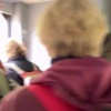 Толпы петербуржцев начали ездить за грибами в Ленобласть.