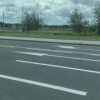 На Новомихайловском шоссе на дороге заметили большую змею 🇷🇺 Источник: ЧП МОСКВА