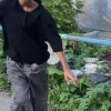 В Ростове дети мигрантов ради хайпа издеваются над пожилыми женщинами и...