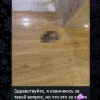 В московском ЖК кто-то нагадил в подъезде. Тогда одна из жительниц сделала...