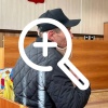 Суд отправил в колонию новосибирца, освобожденного за смертельное ДТП