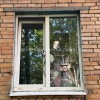 В Петербурге кот едва не задохнулся, застряв в окне. Пушистого спасли неравнодушные прохожие.